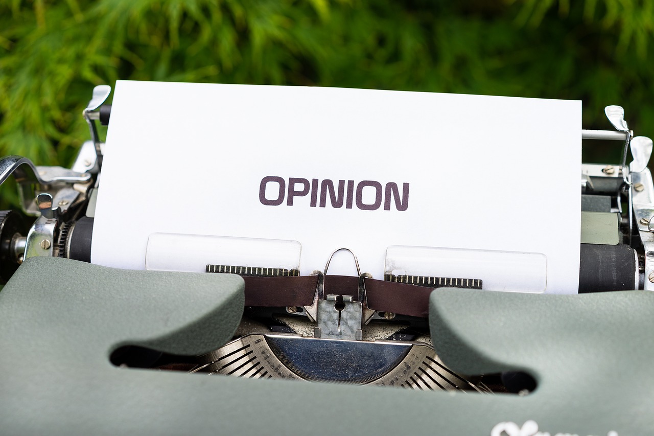 Opinionsbildning